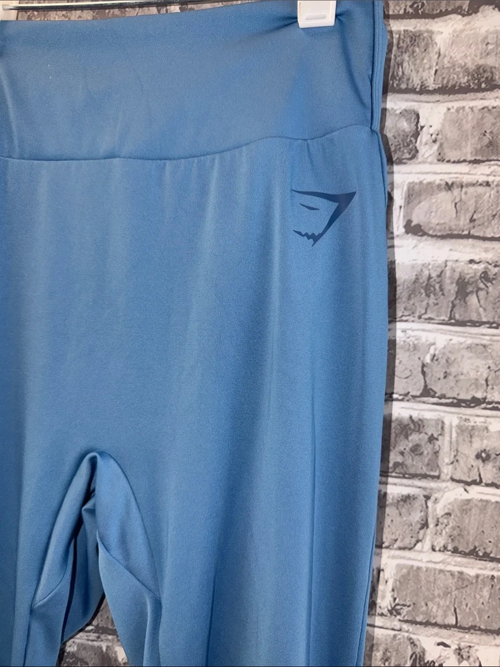 Gymshark Blue Performance Leggings